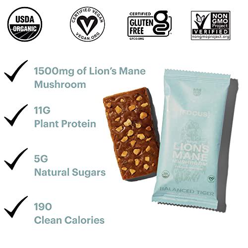 Productivity Bundle - Functional Mushroom Protein Bars | Full Dose (1500mg) of Lion's Mane or Cordyceps in Each Bar | Organic, Non-GMO, Vegan, Gluten-Free, High Protein, Low Sugar | 2 Boxes of 12