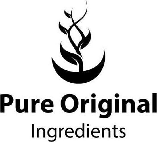 Pure Original Ingredients Rehmannia Root Extract Powder (4oz) Non-GMO, Chinese Foxglove, Traditional Herbal Supplement