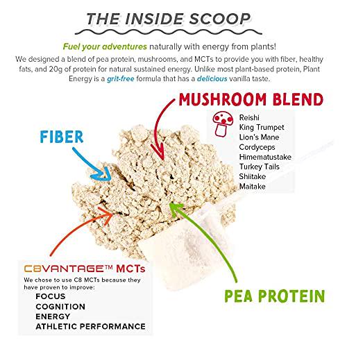 SFH Plant Based Protein (Vanilla) | 20g of Vegan Pea Protein with Mushrooms, Fiber, MCTs for Energy Support and Muscle Recovery | Gluten Free, Soy Free, No Artificial Flavors and No Added Sugar | 120g Bag