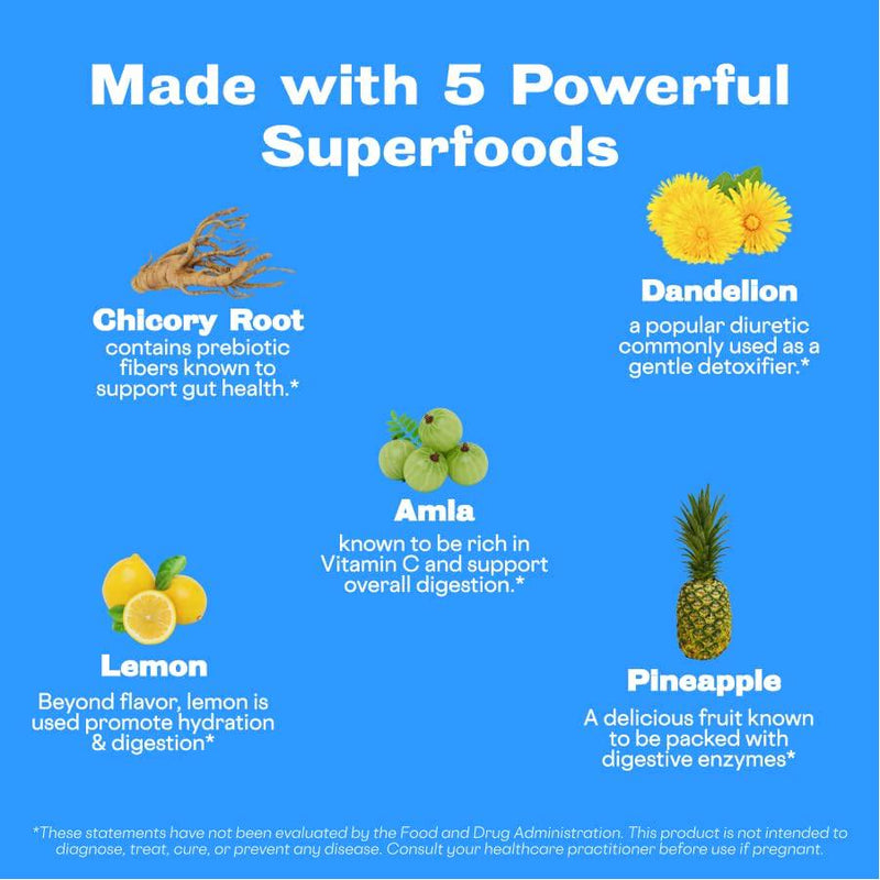 Sunwink Digestion Lemonade - Organic Superfood Powder for Gut Health and Digestion Support with Amla Powder, Dandelion Root Extract and Chicory Root - Flavored with Lemon and Pineapple Juice (40 Servings)