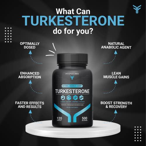 Turkesterone Supplement 500mg, 120 Capsules (95% Ajuga Turkestanica Extract Std. to 10% Complexed with Hydroxypropyl B Cyclodextrin) Similar to Beta Ecdysterone Testosterone booster by Fit and Focused