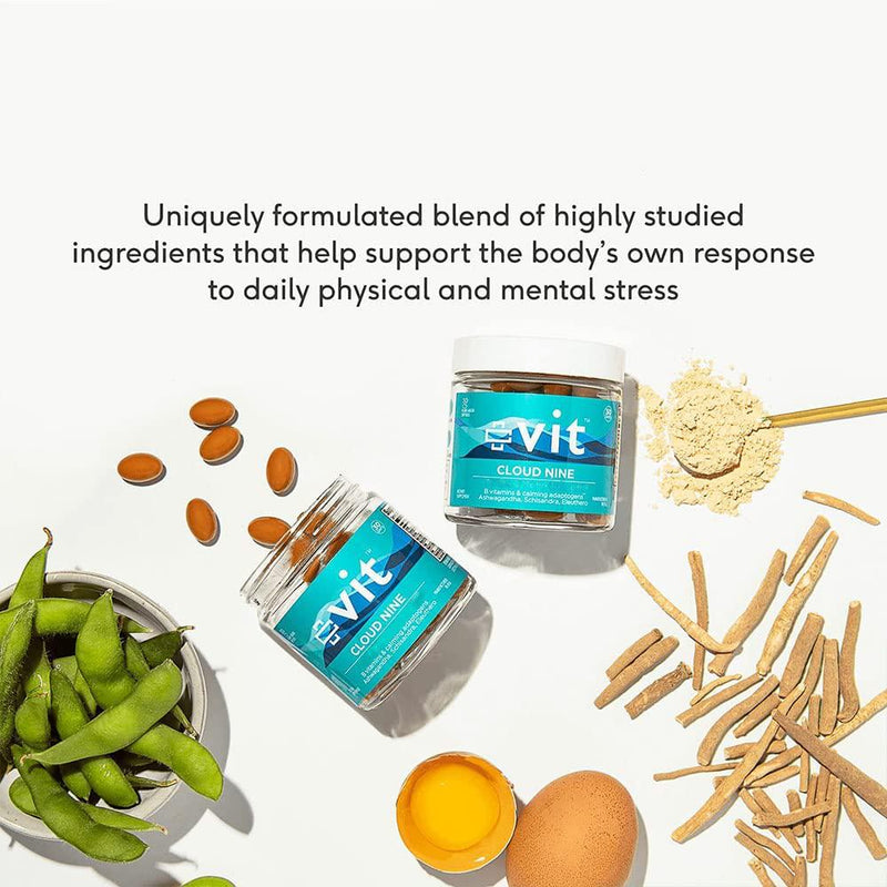 Vit Health Cloud Nine Ashwagandha Supplement with Vitamin B12, Herbal Adaptogens, May Help Support Stress and Mood, 100% Plant-Based, Vegan, Non-GMO, Gluten Free, 90 Count