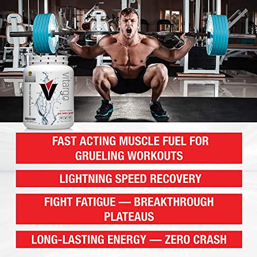Vitargo Carbohydrate Powder | Feed Muscle Glycogen 2X Faster | 4.4 LB Pre Workout and Post Workout | Carb Supplement for Recovery, Endurance, Gain Muscle Mass