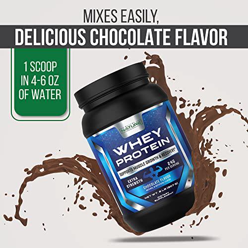 Whey Protein Powder 24g of Protein from Whey Isolate and Concentrate with Digestive Enzymes, Naturally Rich in BCAAs for Lean Muscle Building and Workout Recovery, Made in USA, Chocolate Flavor, 2 Lb