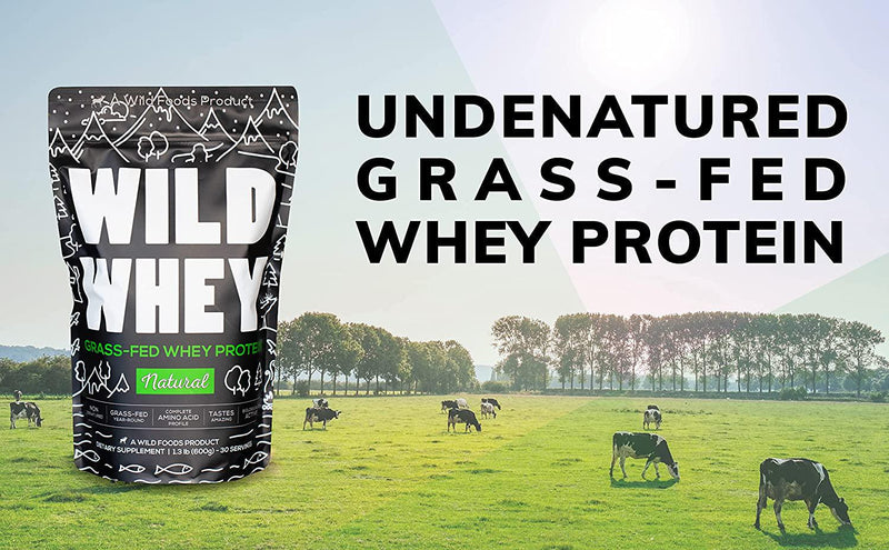 Wild Whey Grass-Fed Protein, Nondenatured Low Carb Cold Process, GMO-Free, Gluten-Free, rBGH-Free, Keto, Made in U.S.A, 56 Servings, 896g Protein (Natural/Unflavored - Bulk 2.5 Pound)