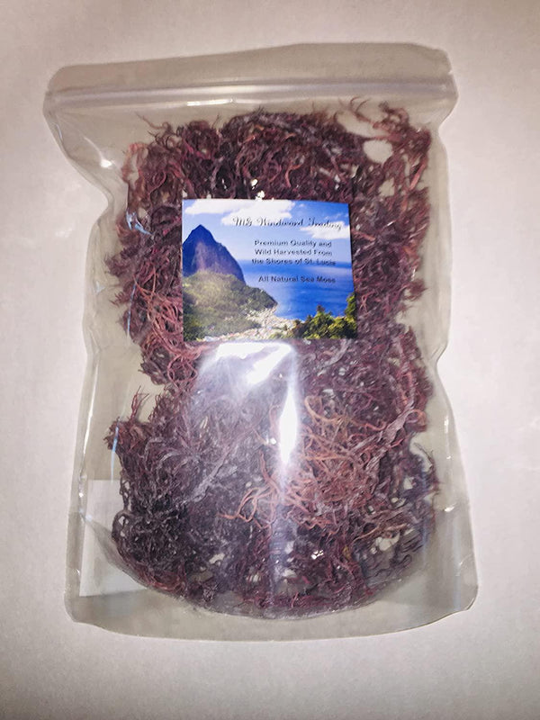 Wildcrafted Organic Purple Irish Sea Moss from St. Lucia | Dr. Sebi Grade Purple Sea Moss | Wild Harvested Powerful Antioxidants, Vitamins, Minerals and Nutrients All Natural
