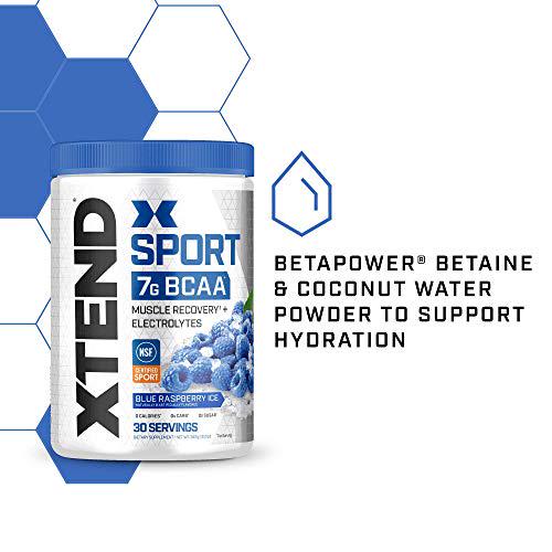 XTEND Sport BCAA Powder Blue Raspberry Ice - Electrolyte Powder for Recovery and Hydration with Amino Acids - 30 Servings