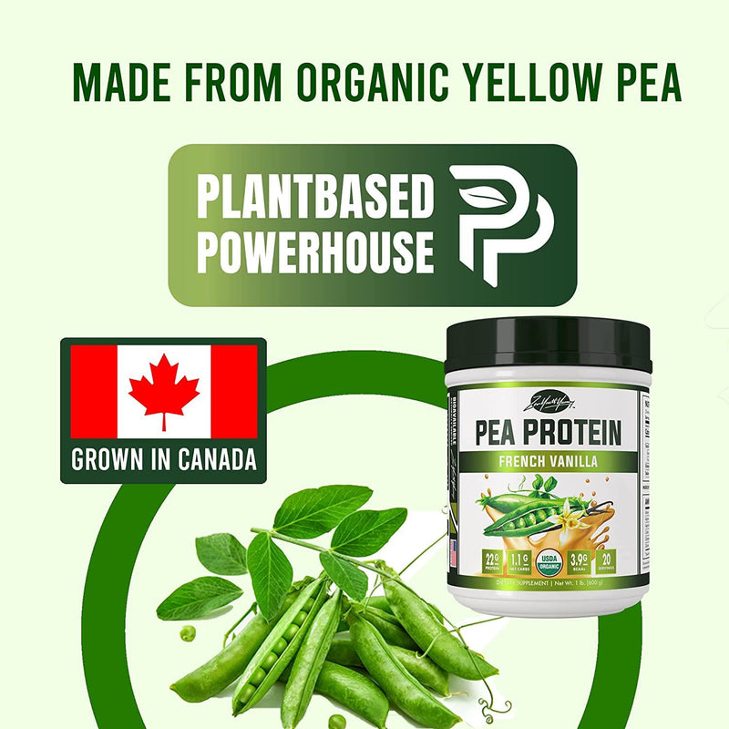 ZYY Flavored Pea Protein Powder - Organic Hydrolyzed Vegan All Natural Canada Grown Peas, Easy to Digest, Dairy Free, Gluten Free, Soy Free, Sugar Free, Non-GMO with BCAA - French Vanilla