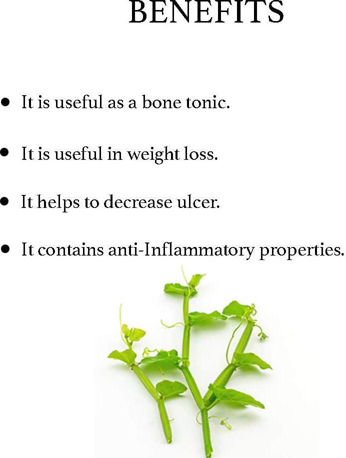 bixa BOTANICAL Cissus Extract Ayurvedic Herb For Bone Tonic, Herbal Supplement ,Veg Capsules 60 Count (450Mg)