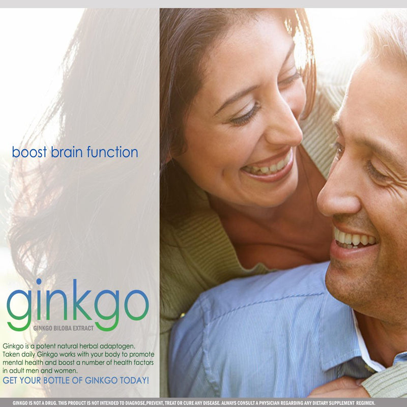 VH Nutrition Ginkgo Biloba 550Mg Supplement - Supports Brain Health, Mental Alertness, Concentration & Focus, Natural Energy Booster - 60 Capsules