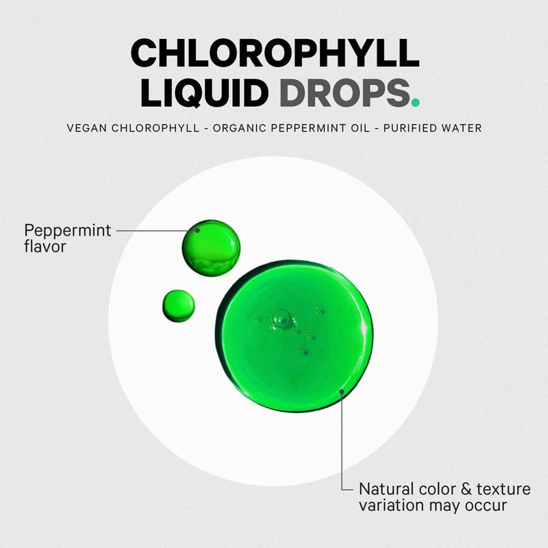 Codeage Codeage Chlorophyll Liquid Drops, Vegan Chlorophyllin Supplement, Organic Peppermint Oil, 60 Ml