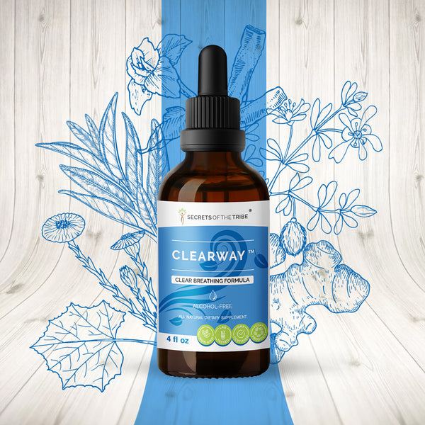 Clearway Alcohol-Free Extract, Tincture, Glycerite Licorice, Chaparral, Ginger, Thyme, Sage, Peppermint. Clear Breathing Formula 4 Oz