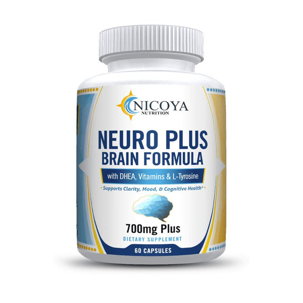 Brain Supplements & Nootropics - Memory Focus Mental Concentration Booster Pill 60 Capsule