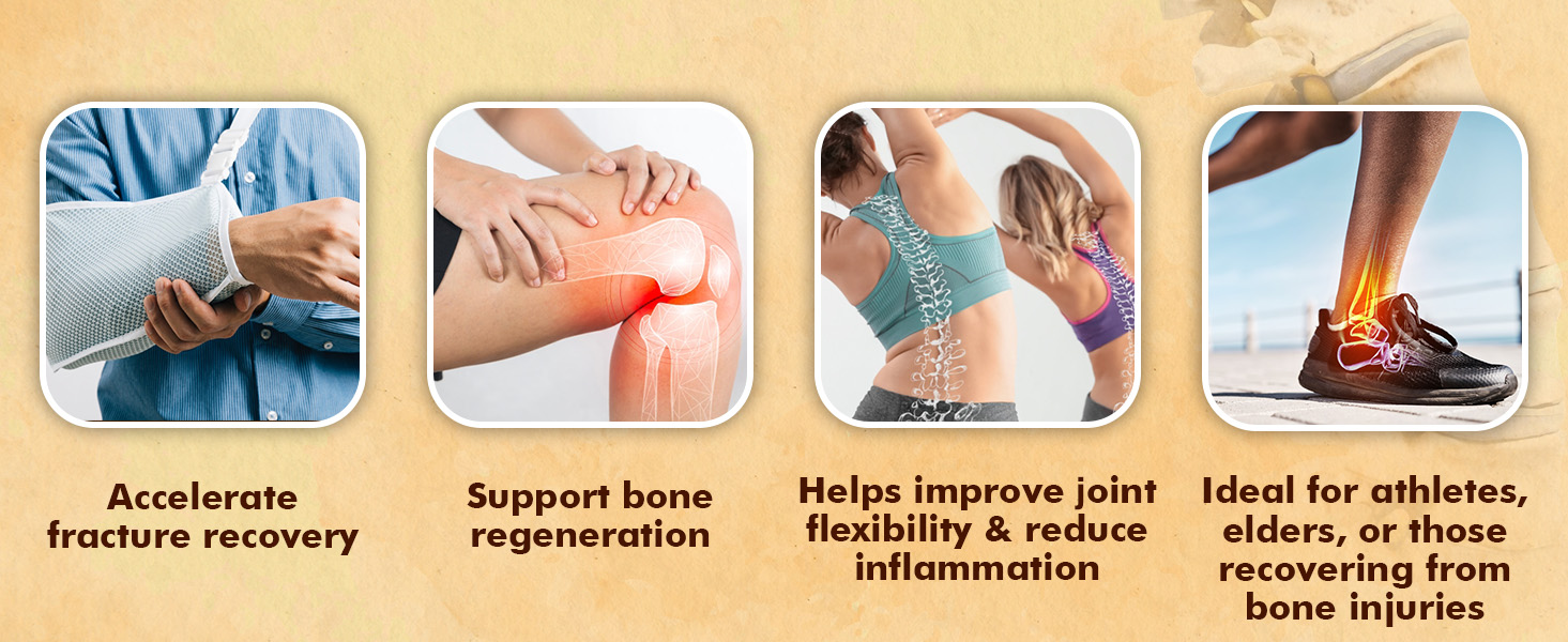 Baidyanath Ayurved Hadjod - 60 Tabs | Pure Natural Ayurved Tablets | For Joint Health, Wellness Tablets | Helps in Weight And Bone Support