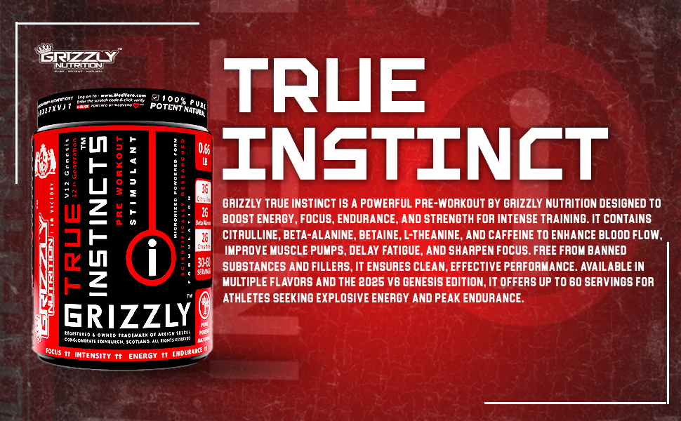 Grizzly Nutrition True Instincts 300g Advanced Pre Workout for Men & Women | Energy, Focus & Pump with L-Citrulline, Beta Alanine, Creatine, Theanine, Caffeine +11 Boosters, Cuban Lime Mojito