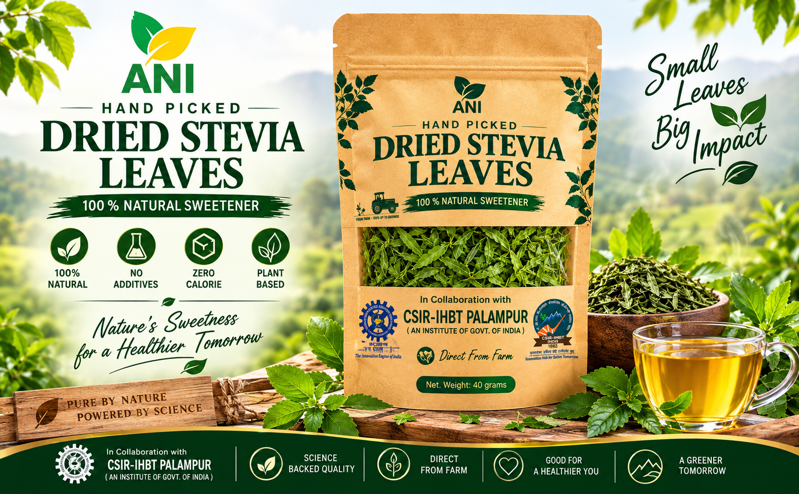 ANI Natural Dried Stevia Leaves 40g | Natural Sweetener, Calorie-Free | Regulates Blood Sugar Levels | Sugar Substitute | In Association with CSIR -IHBT, Palampur (An Institute of Govt. of India)