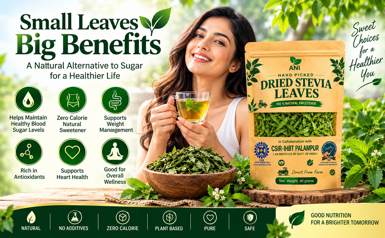 ANI Natural Dried Stevia Leaves 40g | Natural Sweetener, Calorie-Free | Regulates Blood Sugar Levels | Sugar Substitute | In Association with CSIR -IHBT, Palampur (An Institute of Govt. of India)