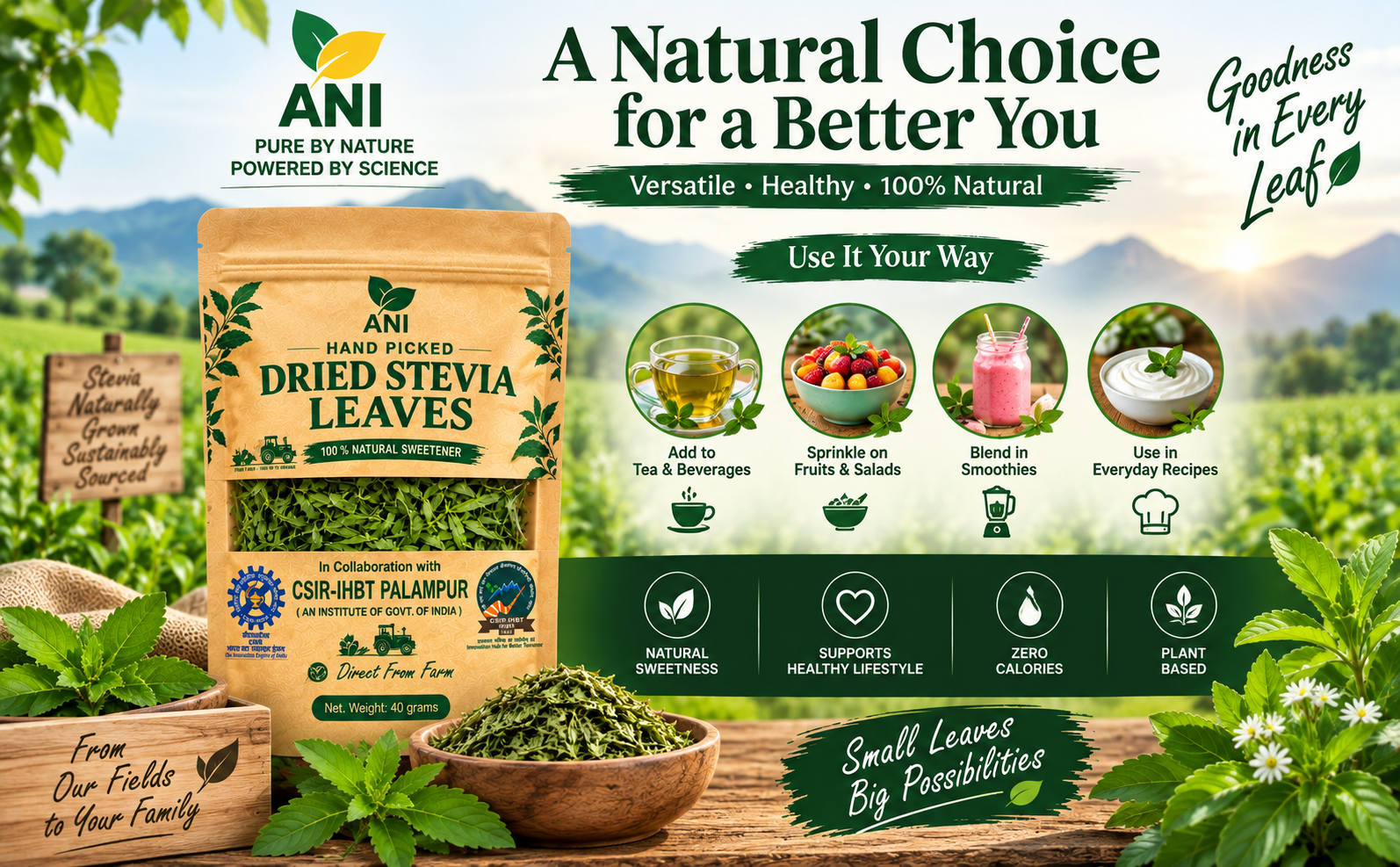 ANI Natural Dried Stevia Leaves 40g | Natural Sweetener, Calorie-Free | Regulates Blood Sugar Levels | Sugar Substitute | In Association with CSIR -IHBT, Palampur (An Institute of Govt. of India)
