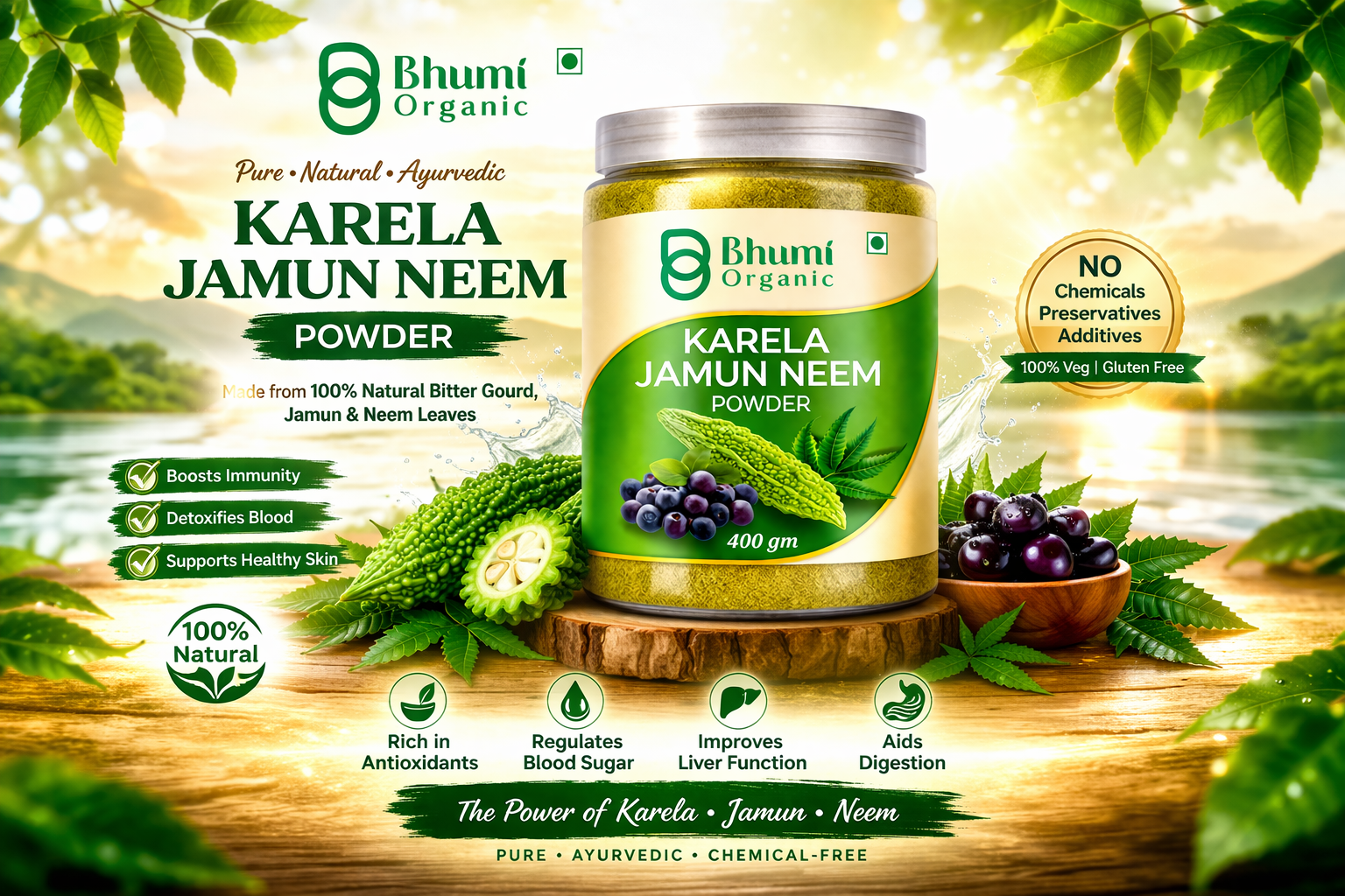 Karela Jamun Neem Powder, 400 gm