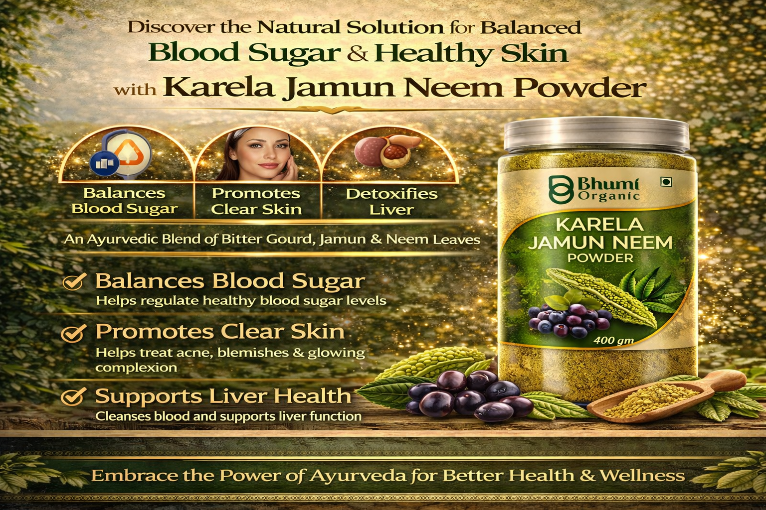 Karela Jamun Neem Powder, 400 gm