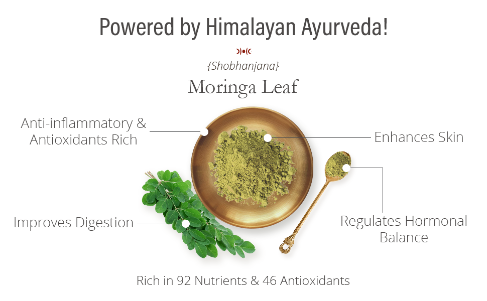 Himalayan Moringa Leaf Powder - 220g | Organic for Energy, Immunity