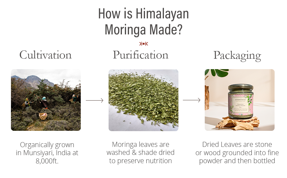 Himalayan Moringa Leaf Powder - 220g | Organic for Energy, Immunity