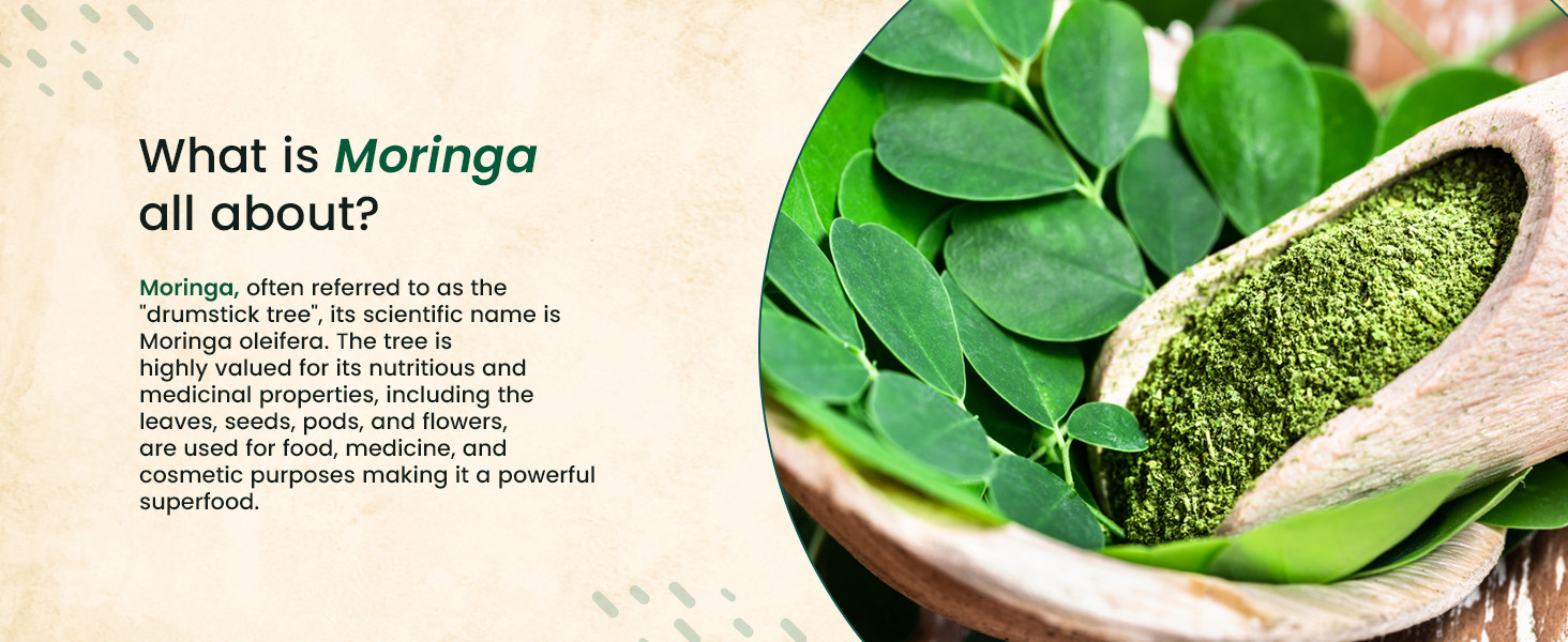 Neuherbs Moringa 500mg Tablets - 120 Count | Drumstick Leaf Supplement for Energy, Immunity, Digestion & Heart Wellness | Moringa Oleifera Herbal Formula | No Artificial Preservatives
