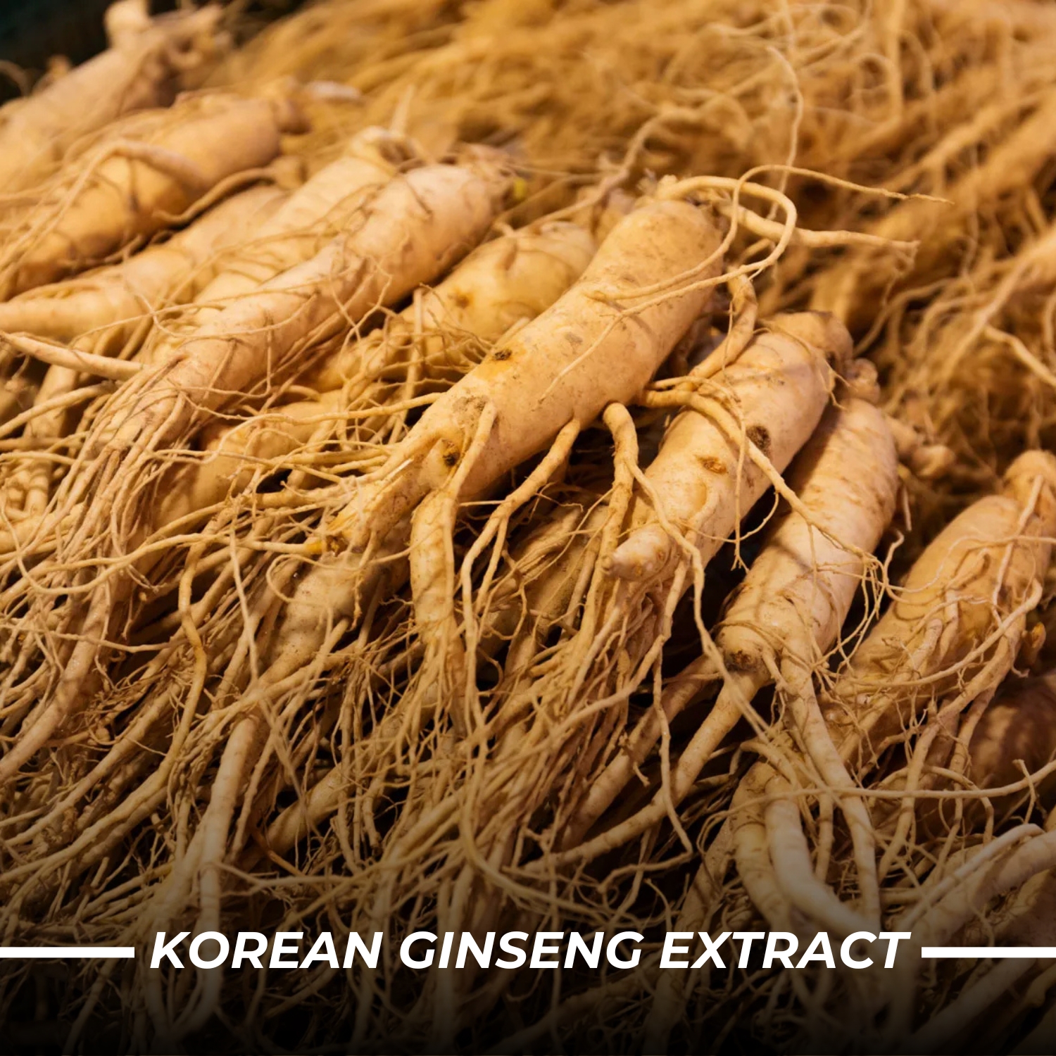 Humming Herb Siberian Ginseng | Energy Boosting, Immune Supporting & Performance Enhancing | Includes Ginkgo Biloba Leaf, Tribulus Terrestris & Korean Eleuthero Root Extract Ginseng- 2490mg - 90 Cap