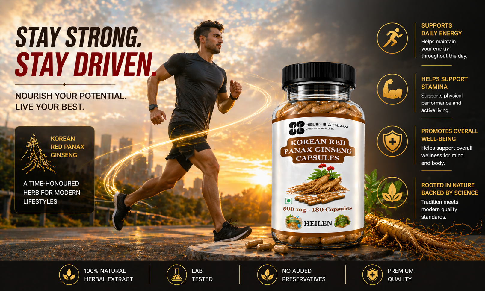 Heilen Biopharm Premium Korean Red Panax Ginseng Root Extract Capsules – 500 mg × 180 Veg Caps | Energy & Nutrition Supplement
