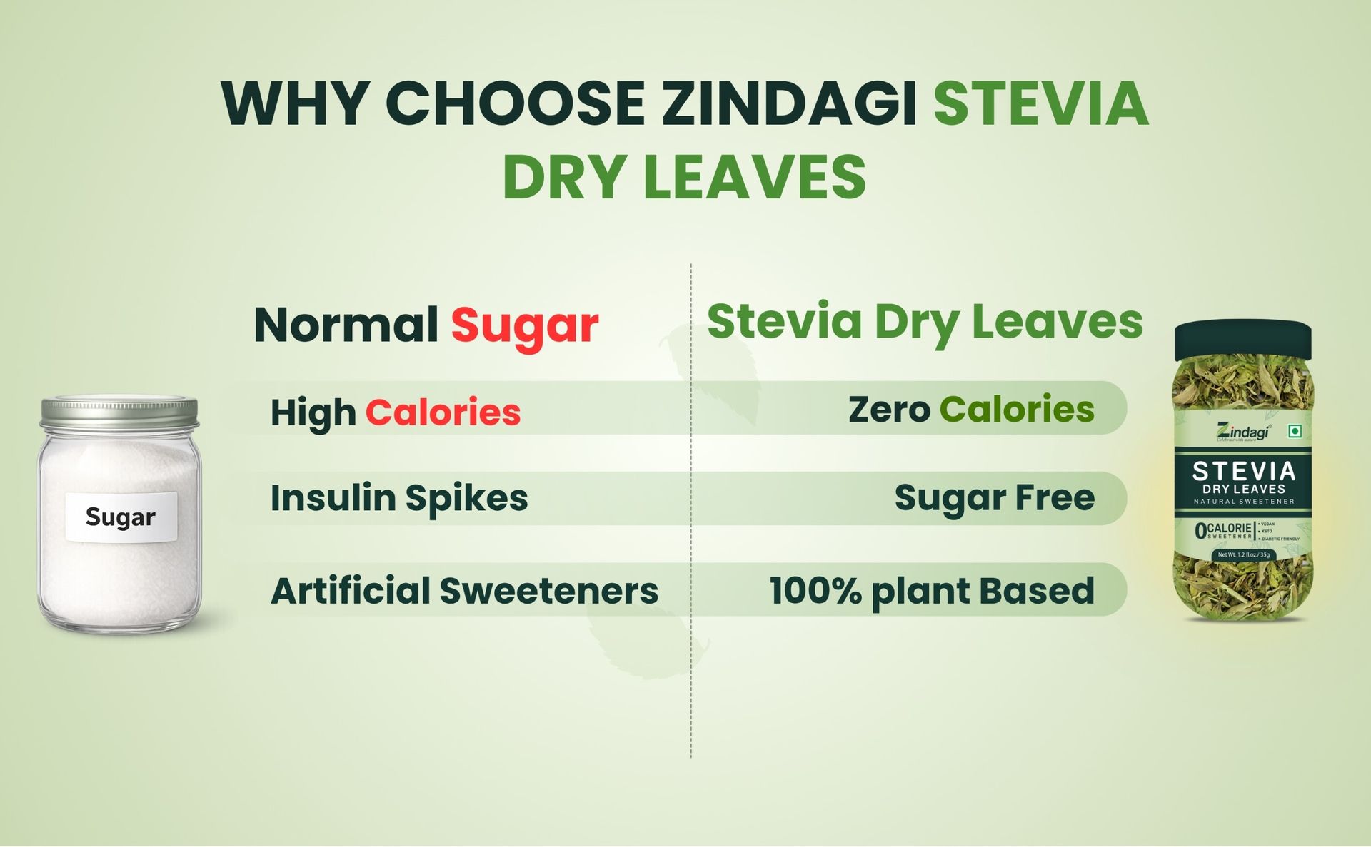 Zindagi Stevia Plant Dry Leaves | Natural Sugar Free | Diabetic Freindly Sweetener | 175GM