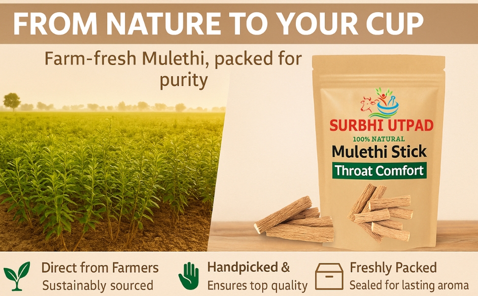 Licorice/Mulethi Stick Powder 100g | Mulethi Powder for Face Pigmentation | Yashtimadhu Powders Supports Digestion, Respiratory & Immunity