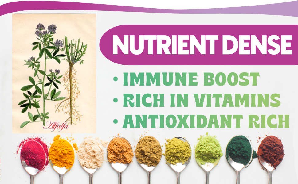 Alfalfa Tablets 120 Tablets | Medicago Sativa (Pack of 1)
