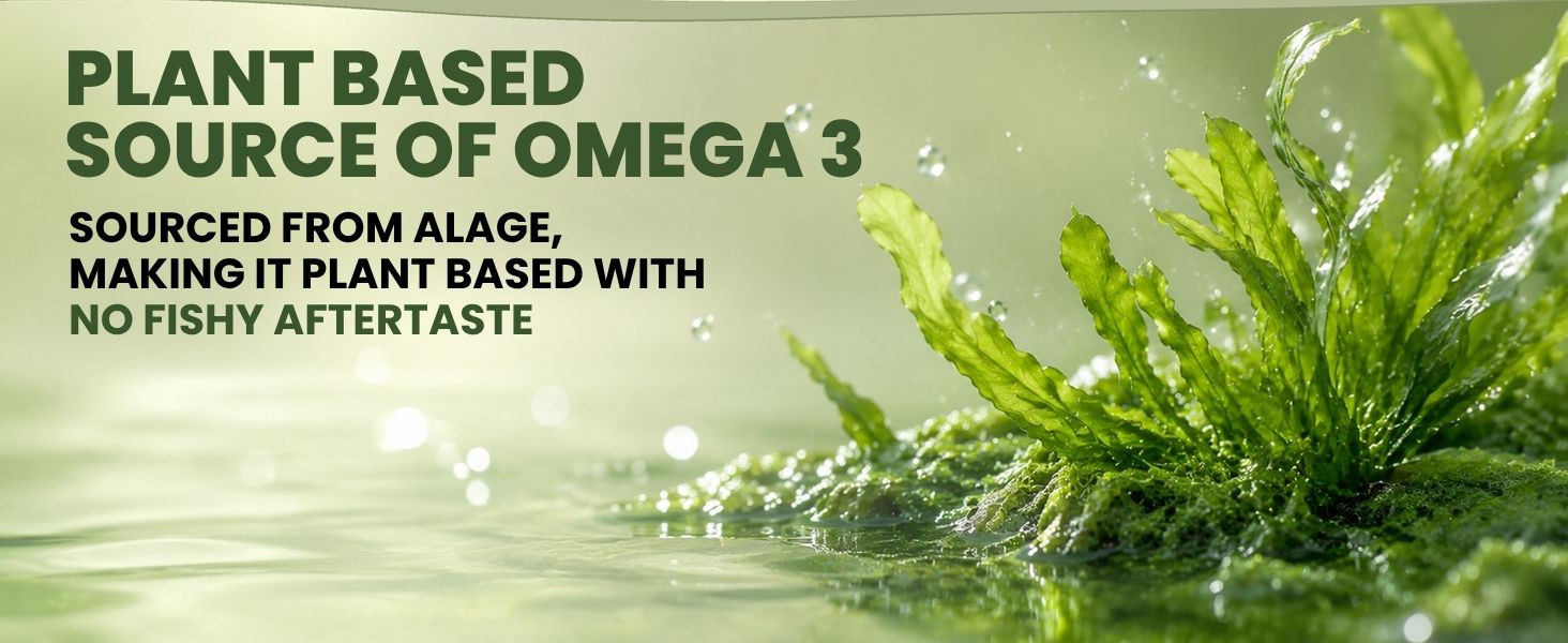 Carbamide Forte Veg Omega3 1000mg | Veg DHA | Vegetarian Omega 3 | Algal DHA | Plant Based | No Fish oil Used Capsules for Men & Women- 60 Veg Capsules