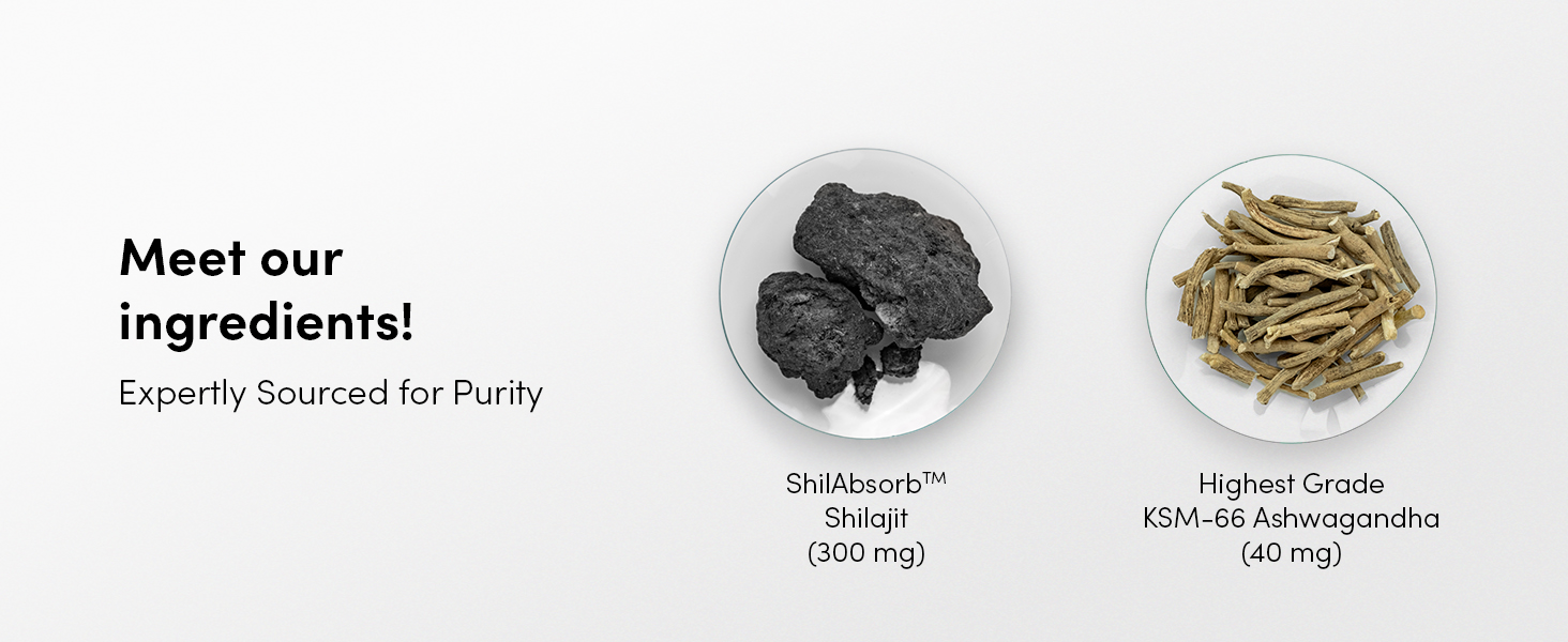 Man Matters Pure Shilajit/Shilajeet Gummies with Lab-Tested Fulvic Acid & KSM 66 Ashwagandha | Boosts Fitness, Improves Energy Levels & Helps Manage Stress | Pack of 60