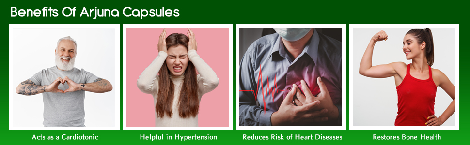 Planet Ayurveda Arjuna Capsules - (Pack of 1) 60 Capsules | Promotes Heart Health | Ayurvedic Formula for Cardiovascular Wellness | Health Supplement for Blood Pressure & Circulation