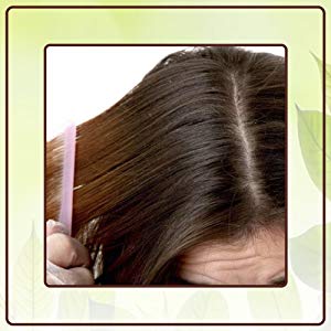TRH Pure & Natural Licorice Root/Mulethi Stick Yashtimadhu For Health, Skin and Hair Care, Atimadhuram Podi/Athimadhura Hittu - 100gm