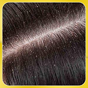 TRH Pure & Natural Licorice Root/Mulethi Stick Yashtimadhu For Health, Skin and Hair Care, Atimadhuram Podi/Athimadhura Hittu - 100gm