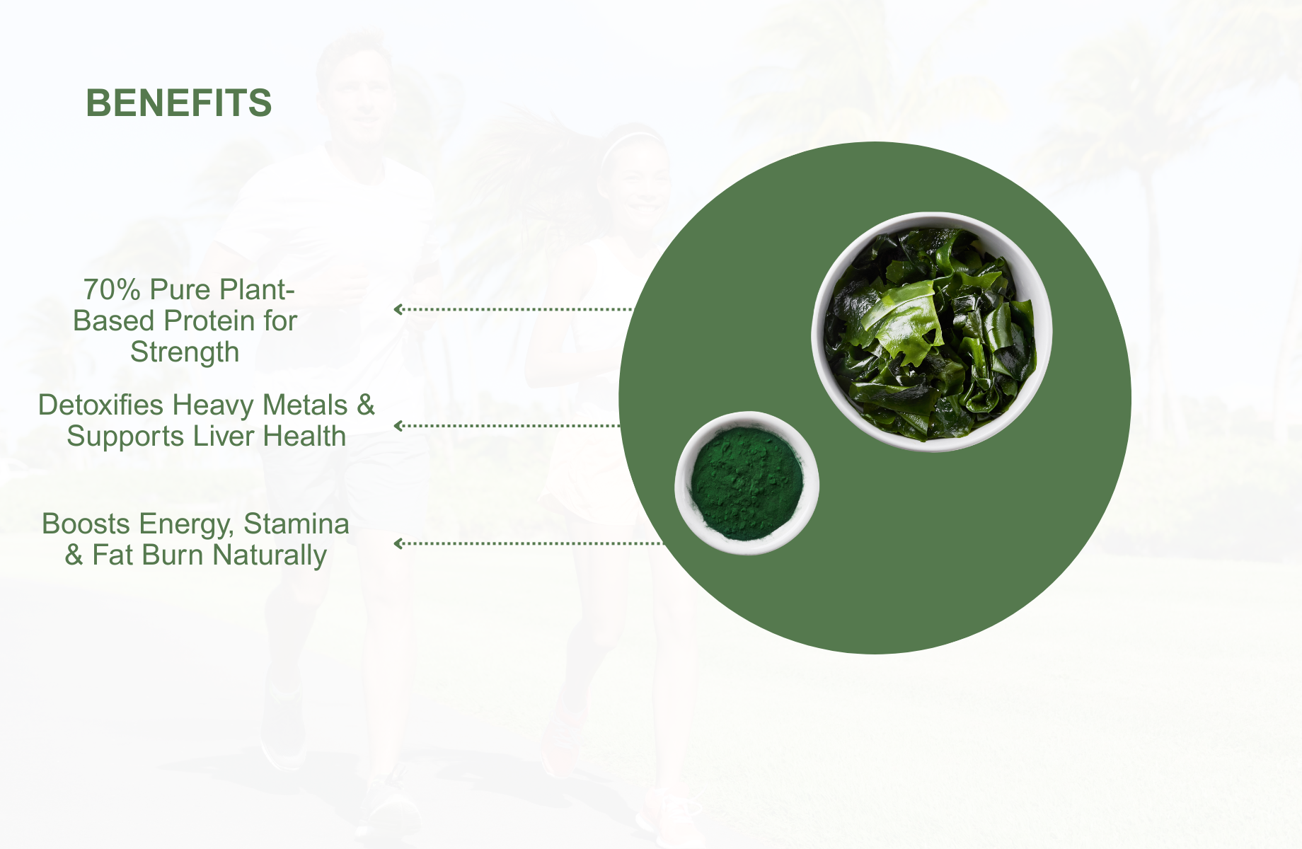 Spirulina Vati - Ayurvedic Tablet for Workout & Energy