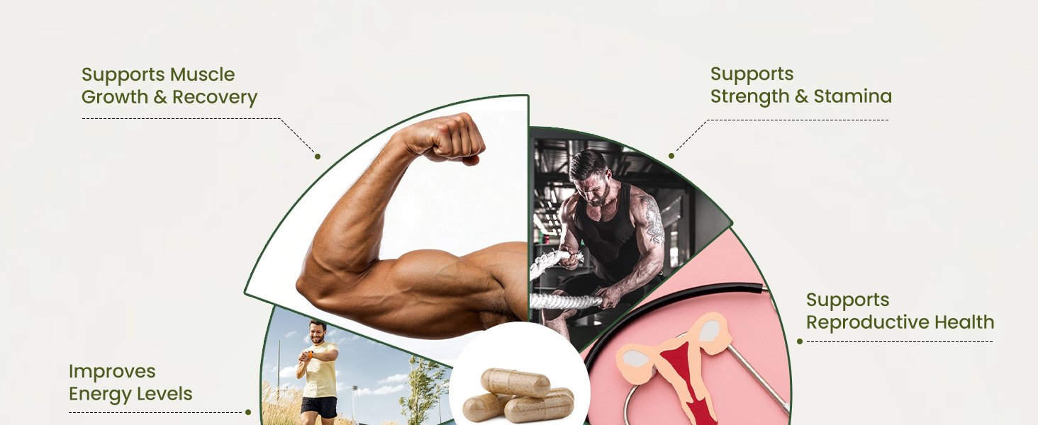 Herbalmax Safed Musli Capsule for Natural Energy & Immunity Booster, Support Body Strength, Stamina, Stress Relief, Performance Enhancer for Men & Women – 120 Capsule