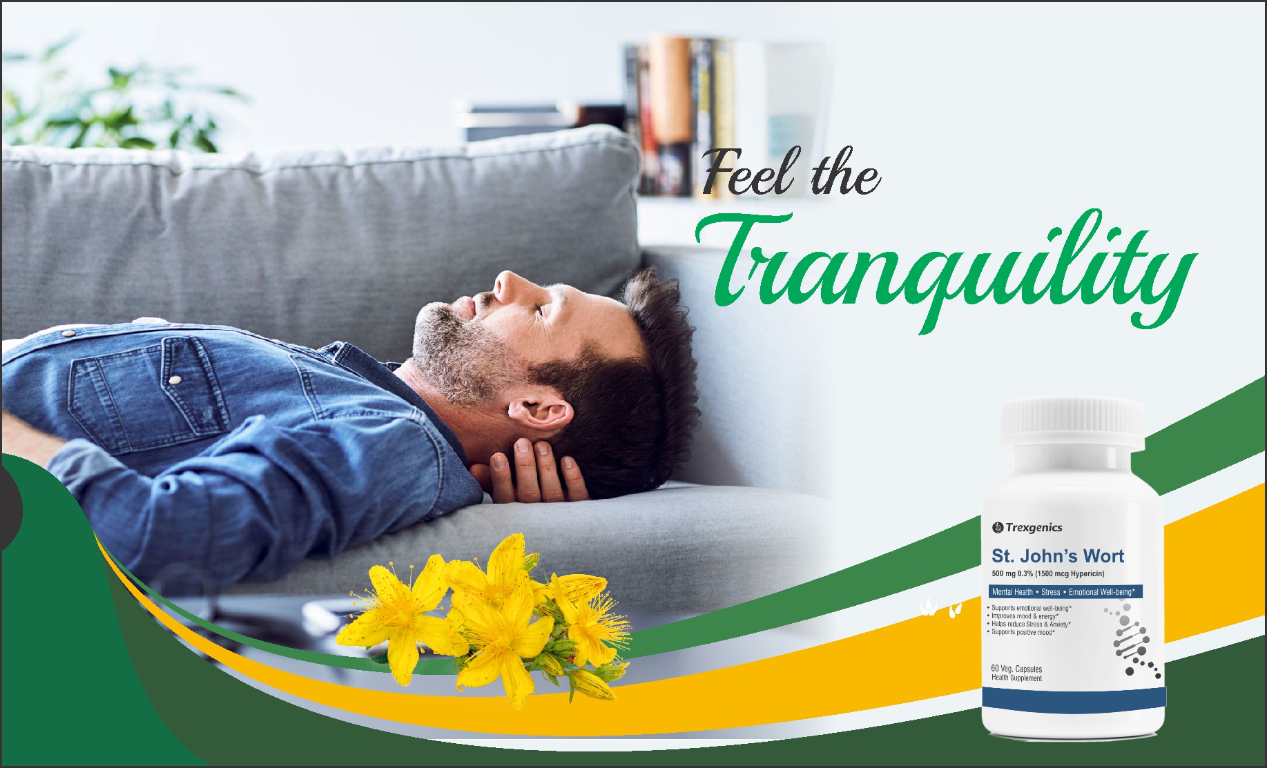 Trexgenics St. JOHN’S WORT 500mg Standardized (0.3% Hypericin) Stress, Mood, Mental health support (60 Vcaps) (1)