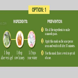 Freshly Harvested Green Organic Aloe Vera Leaf - Fresh Green Aloe Vera Leaf for Natural Wellness, Haircare, and Skincare - Extract Your Own 100% Pure and Chemical-Free Aloe Vera Gel - 1 Leaf