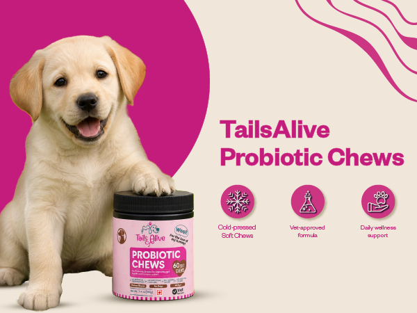 Probiotic Soft Chews Supplement for Dogs | Six Probiotic Strains for Gut Health & Digestion | Chicken Flavor | Supports Immune Function | 30 Soft Chews
