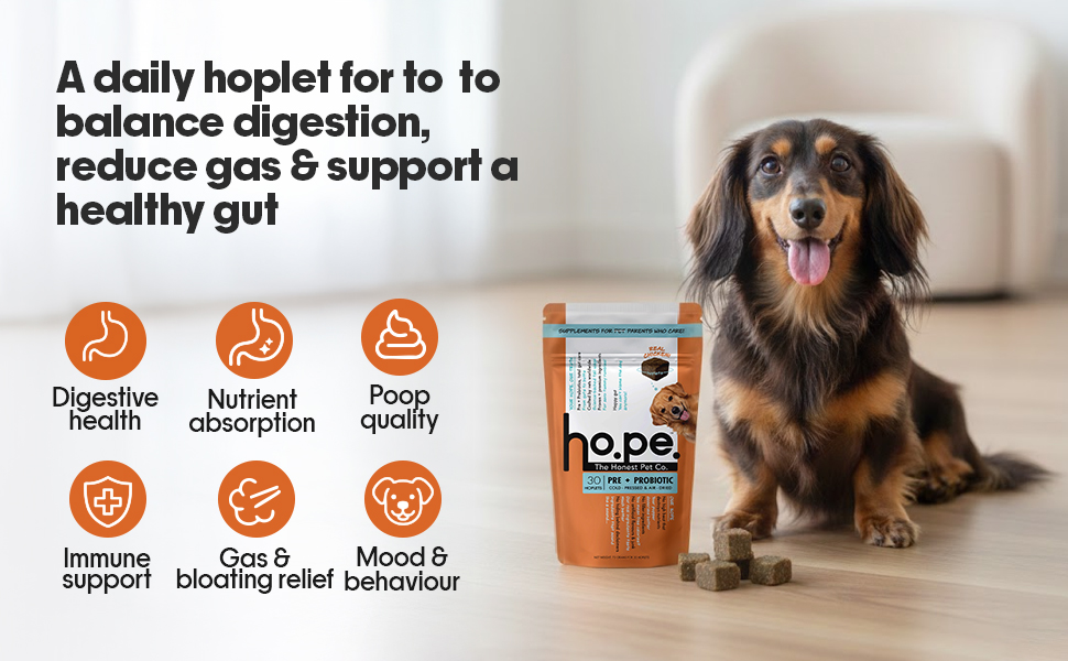 Hope Pre & Probiotics Supplement for Dogs - 30 Chicken hoplets | Paw Licking & Scratching Relief | Tasty Chews with Hing for Absolute Gut Health | Coldpressed| Air-Dried | Honest Pet Co