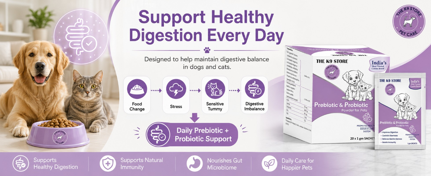 Prebiotics & Probiotics for Dogs & Cats | Gut Health Supplement Powder for Digestive Support | Supports Healthy Digestion, Balanced Gut Flora & Immunity | Dog & Cat Supplement