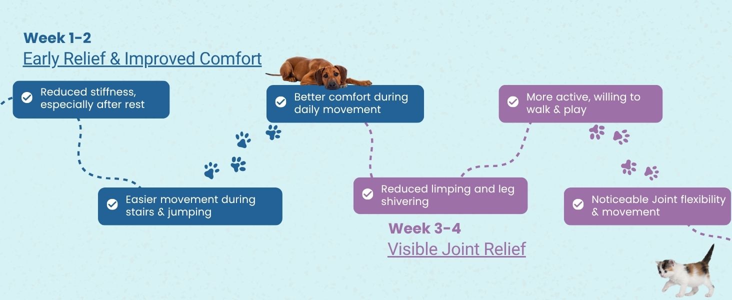 Jounce® Hip & Joint Supplement for Dogs, 30 Crunchies for Stiffness, Limping, Joint Pain & Dogs Prone to Hip Dysplasia with Collagen, Boswellia Serrata & Chondroitin for Mobility & Cartilage Support