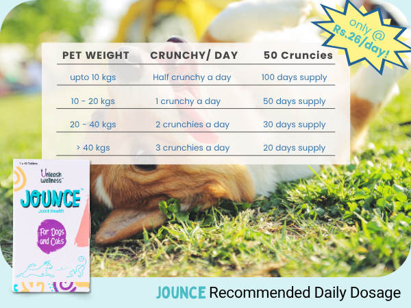 Jounce® Hip & Joint Supplement for Dogs, 30 Crunchies for Stiffness, Limping, Joint Pain & Dogs Prone to Hip Dysplasia with Collagen, Boswellia Serrata & Chondroitin for Mobility & Cartilage Support