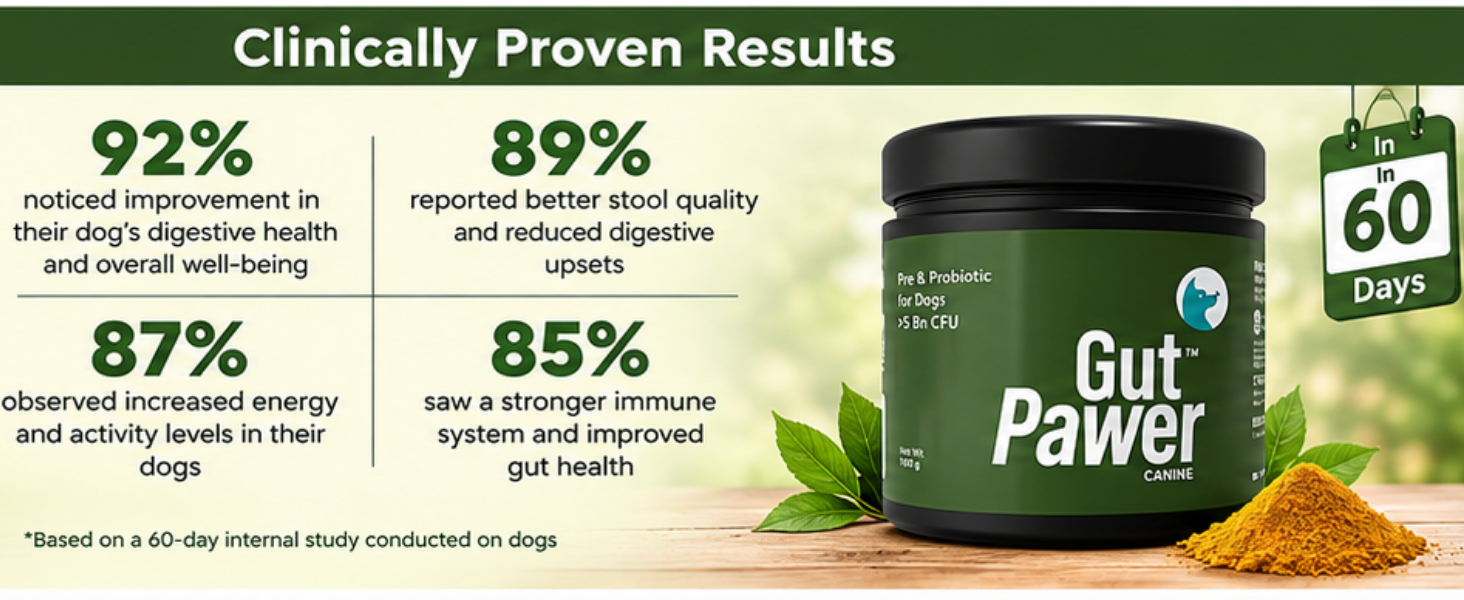 GutPawer™ Canine Prebiotic & Probiotic Supplement for Dogs | Advanced Gut Health, Digestive & Immune Support Formula | Supports Healthy Digestion, Nutrient Absorption & Wellness | 100g