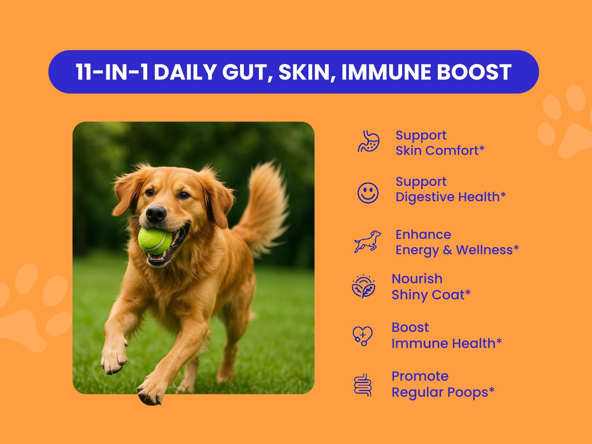 PETSAPIENS Pre + Probiotic Supplement(120gm) Gluten Free | 10B CFU | Boosts Gut Health & Immunity | Vet Formulated - Prevents Scratching, Paw-Licking and Indigestion, Chicken Flavour