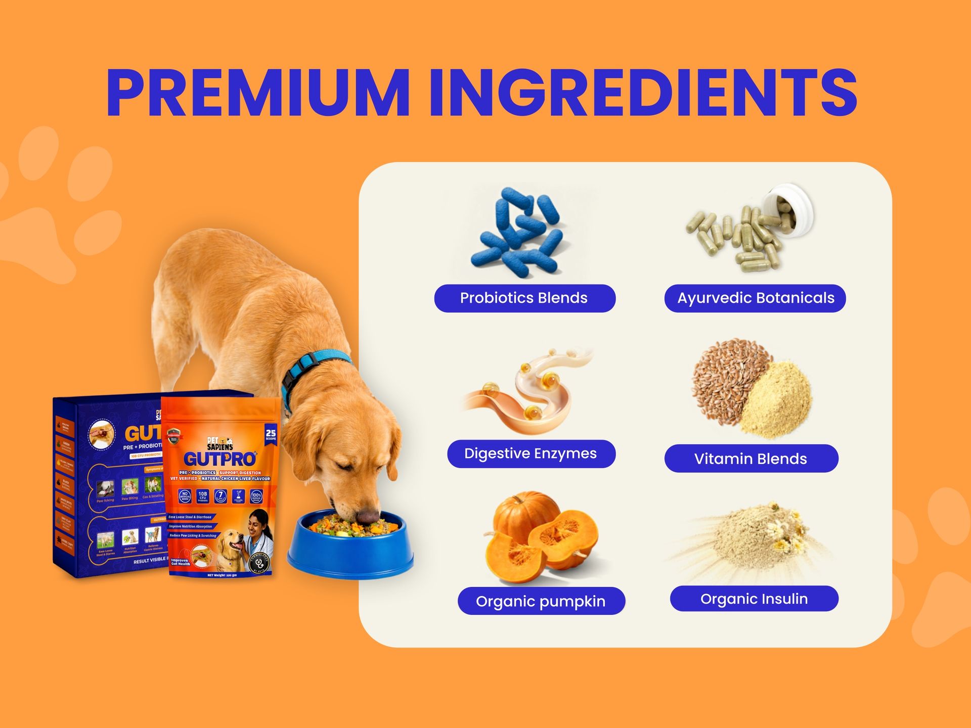 PETSAPIENS Pre + Probiotic Supplement(120gm) Gluten Free | 10B CFU | Boosts Gut Health & Immunity | Vet Formulated - Prevents Scratching, Paw-Licking and Indigestion, Chicken Flavour