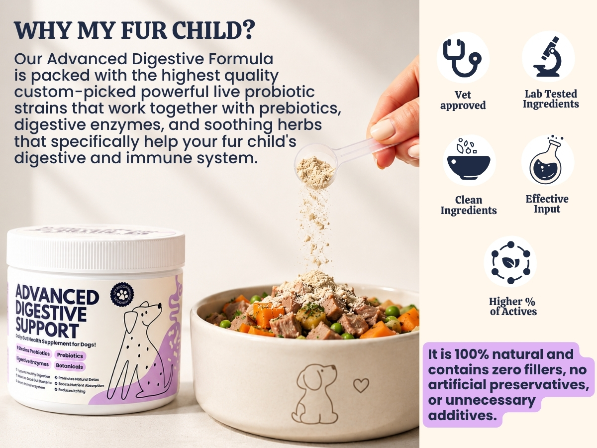 Advanced Digestive Support for Dogs | 3.2 Billion CFU 9-Strain Probiotics, Digestive Enzymes, Pumpkin & Prebiotics | Supports Gut Health, Digestion & Stool Quality | Lasts Up to 60 Days